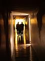 D-P2334-IMG_1443-5a aa